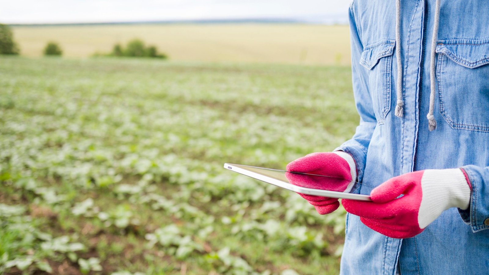 woman-holding-tablet-farm-field
