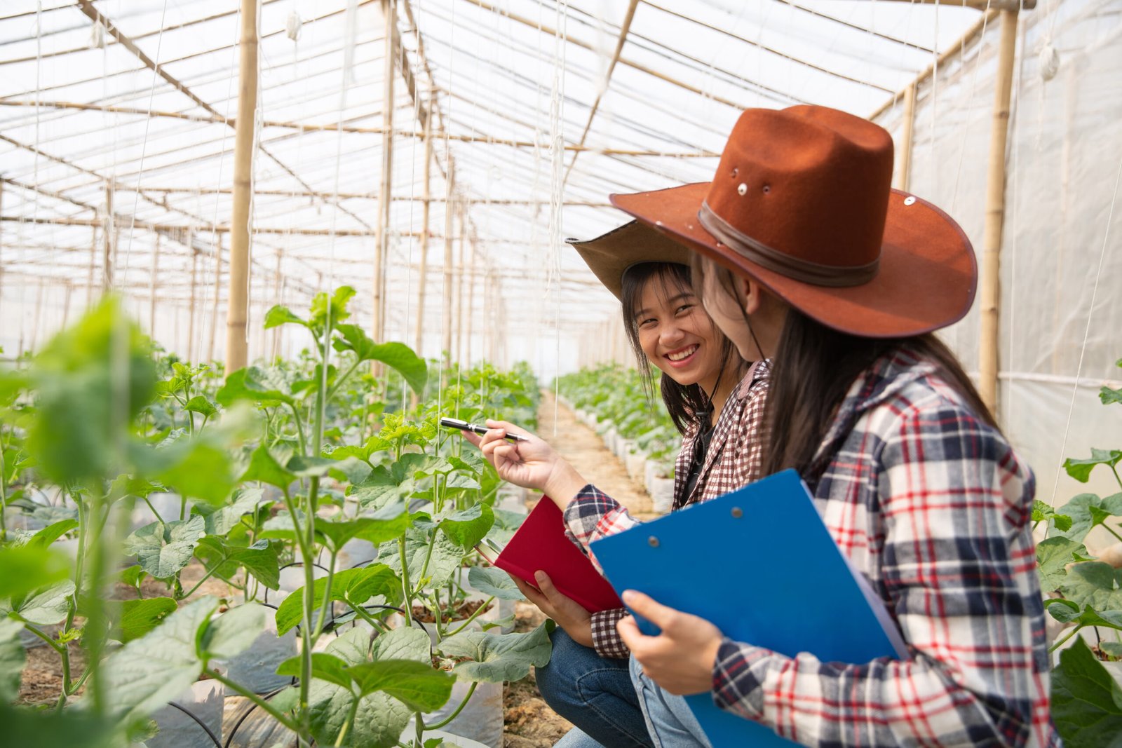 Young agricultural enginner studying new sort of melon growing in hothouse